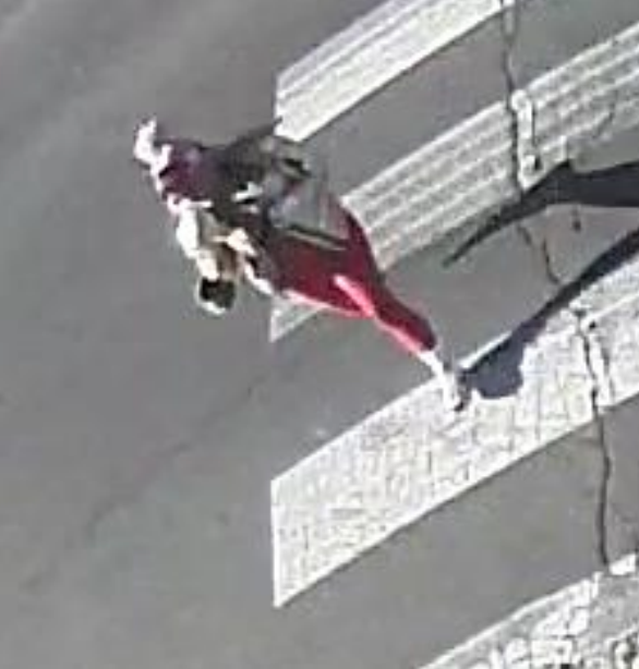 Alleged rock thrower